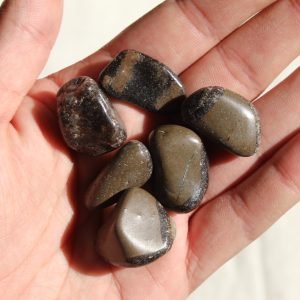 Septariana Rolada (Outlet)