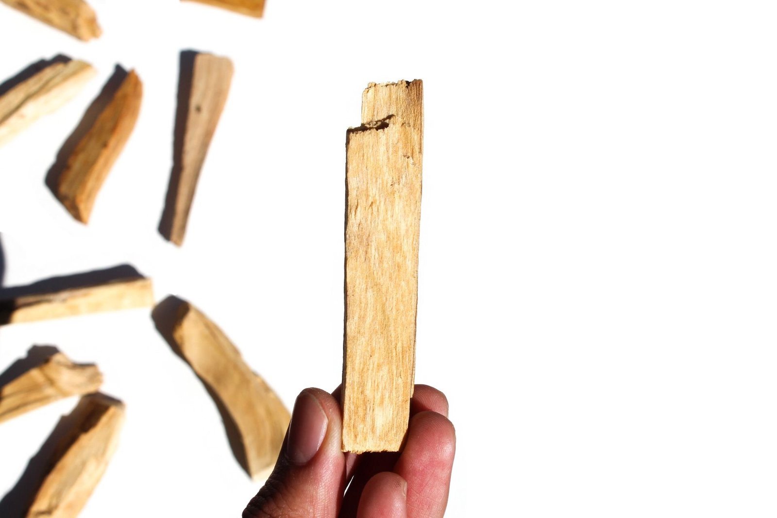 3174F39B-9D18-486A-B936-231E5A8D28E0 3174F39B 9D18 486A B936 231E5A8D28E0