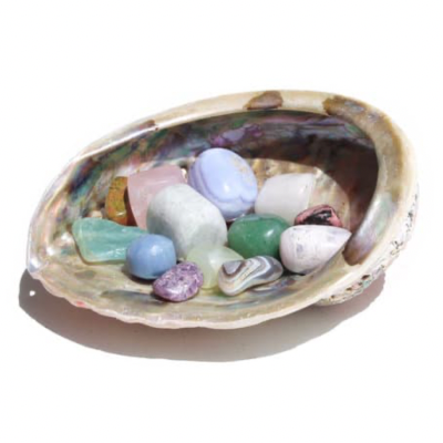 576855CC A098 471C 9EFE E4733247408F