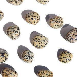 jaspe dalmata rolado