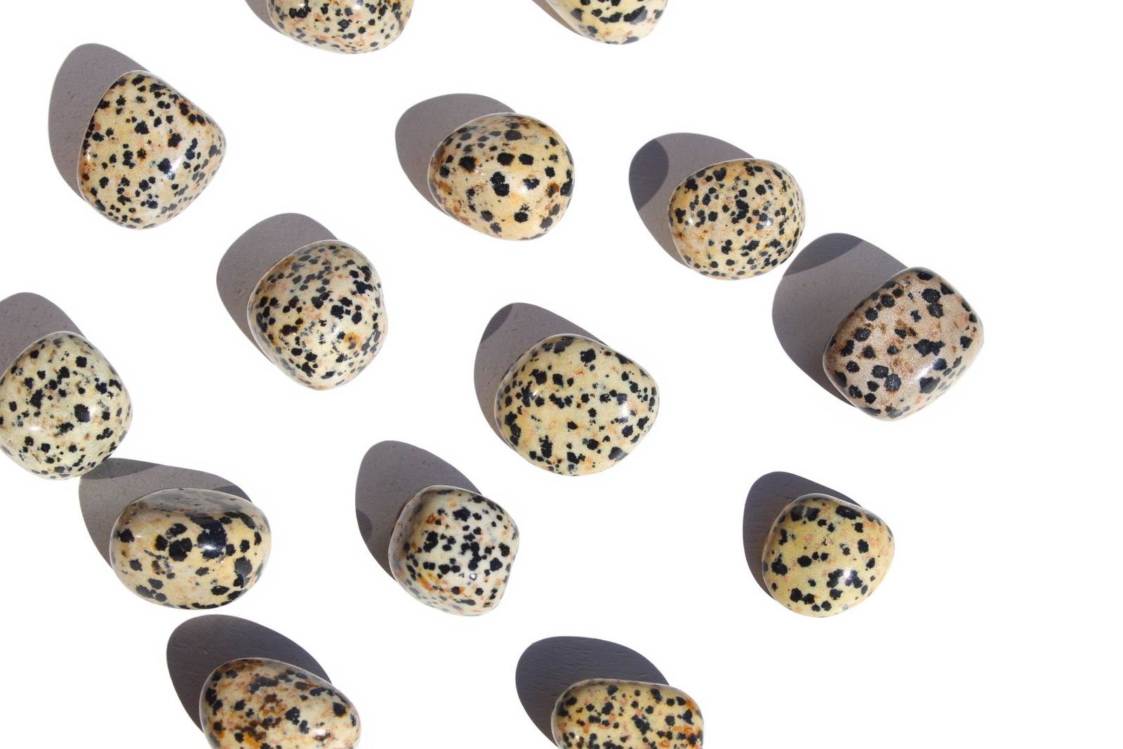 jaspe dalmata rolado