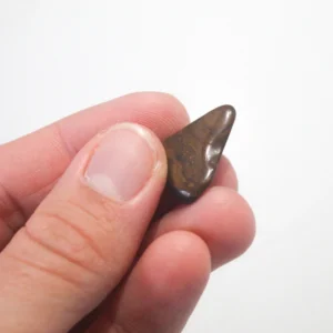 Olho de Tigre (Outlet)