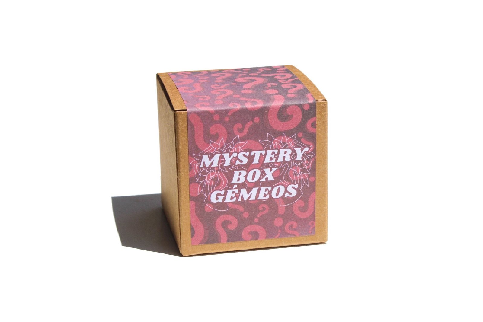 mystery box gemeos 1