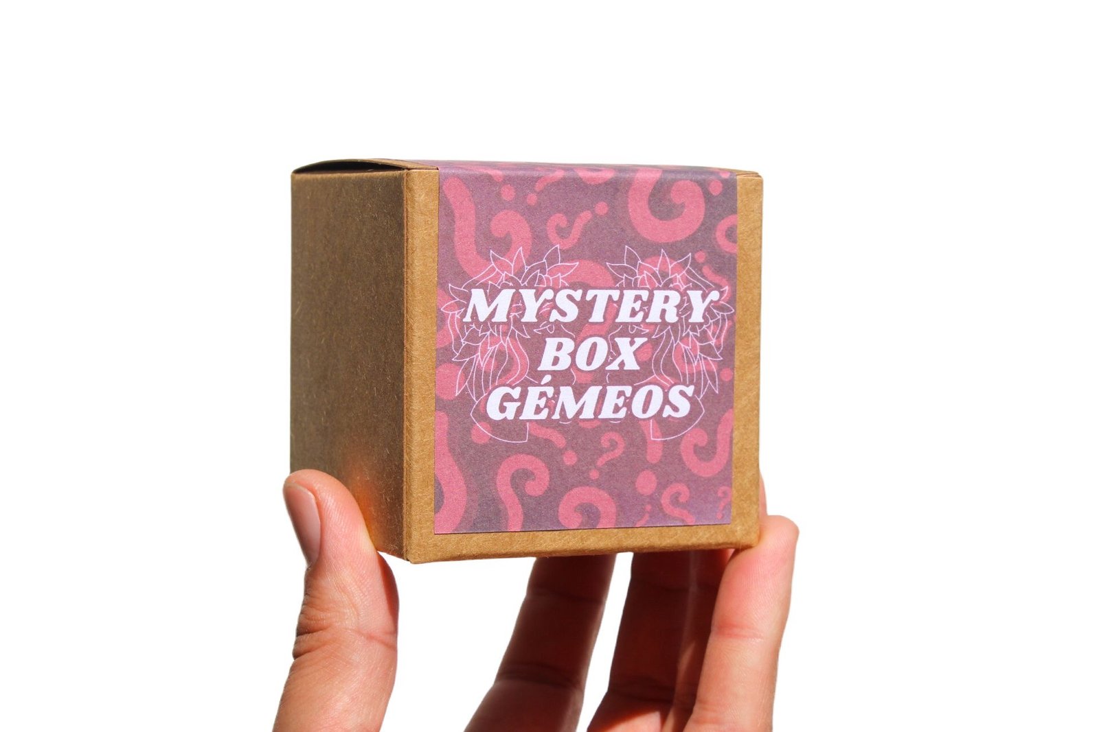 mystery box gemeos 2