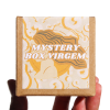 mystery box virgem 2