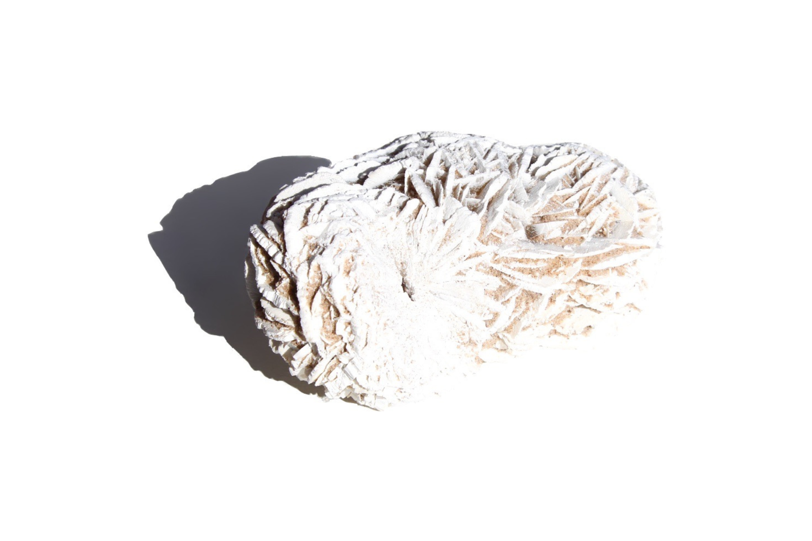 rosa do deserto 49911 1